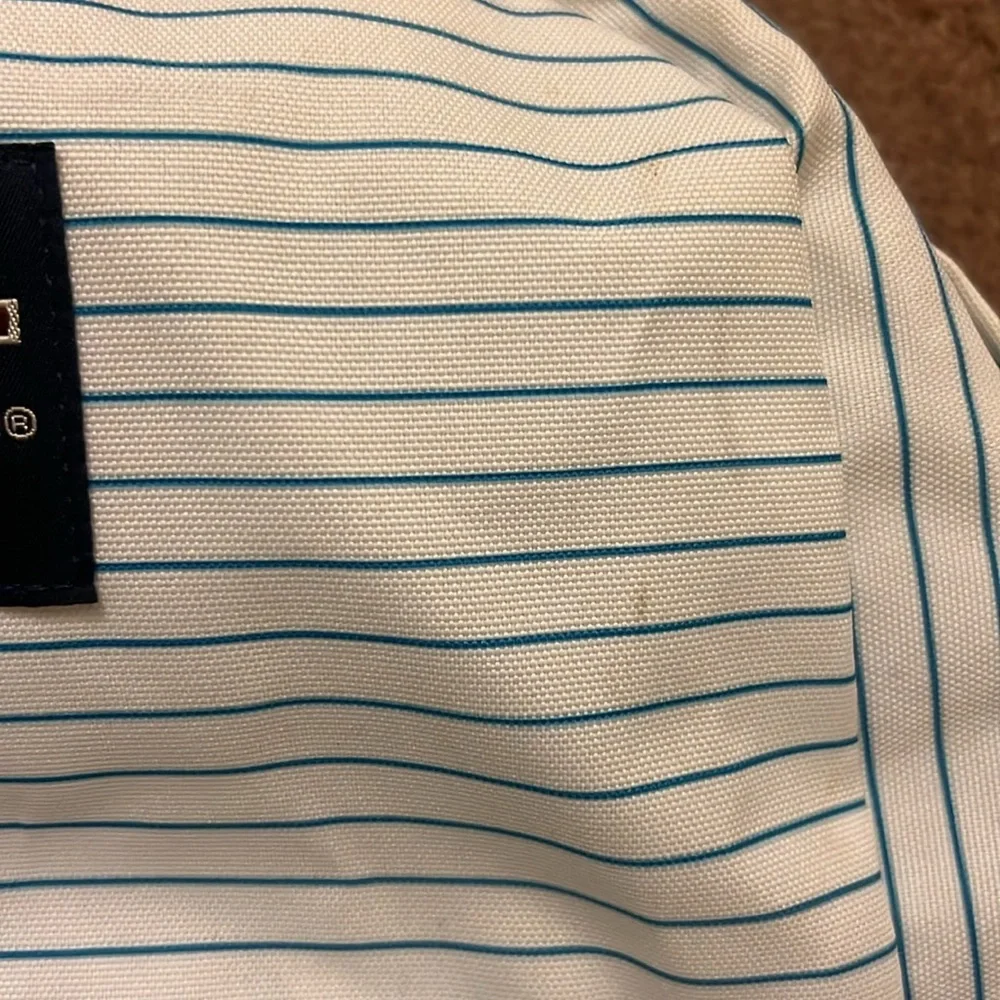 white with blue stripes Jansport backpack - Picture 5 of 8